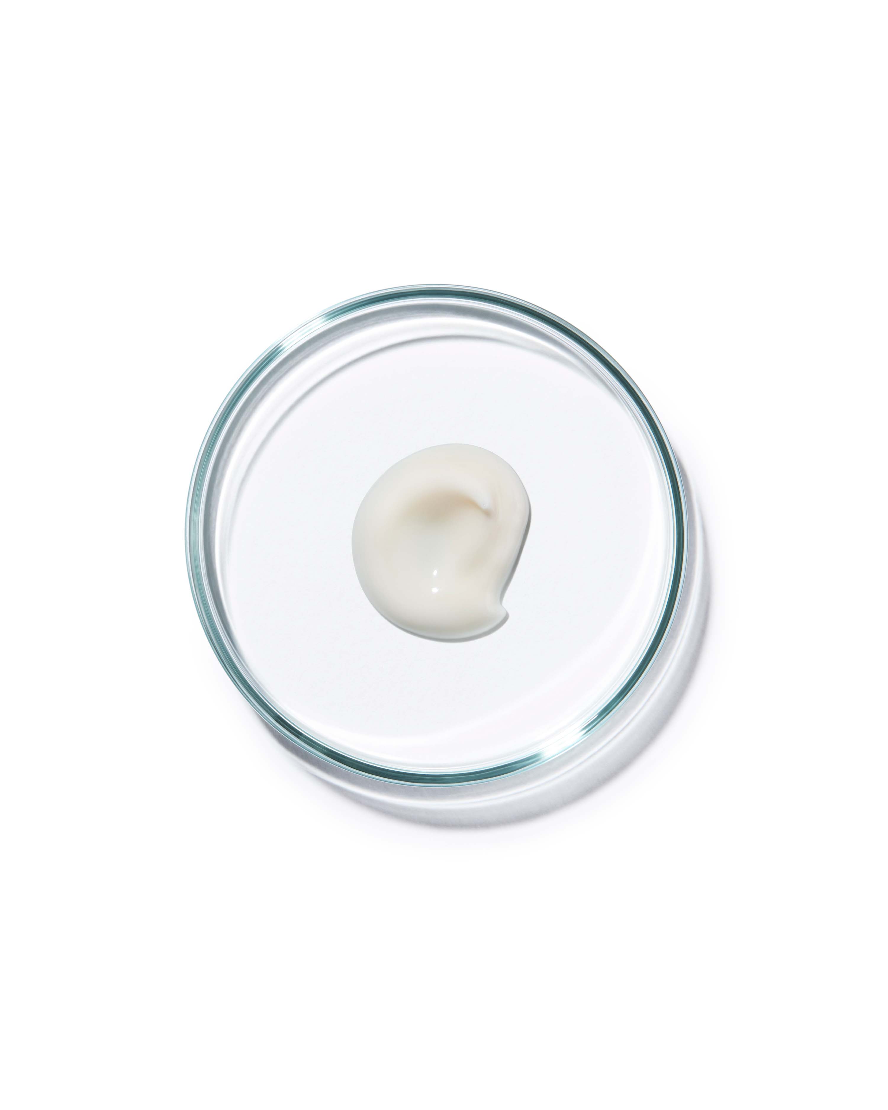 CONCENTRÉ REPULPANT